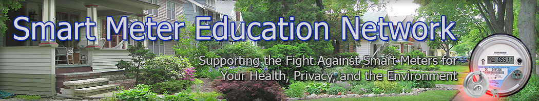 Smart Meter Education Network Michigan Banner